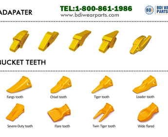 Everything You Need To Know About Bucket Teeth