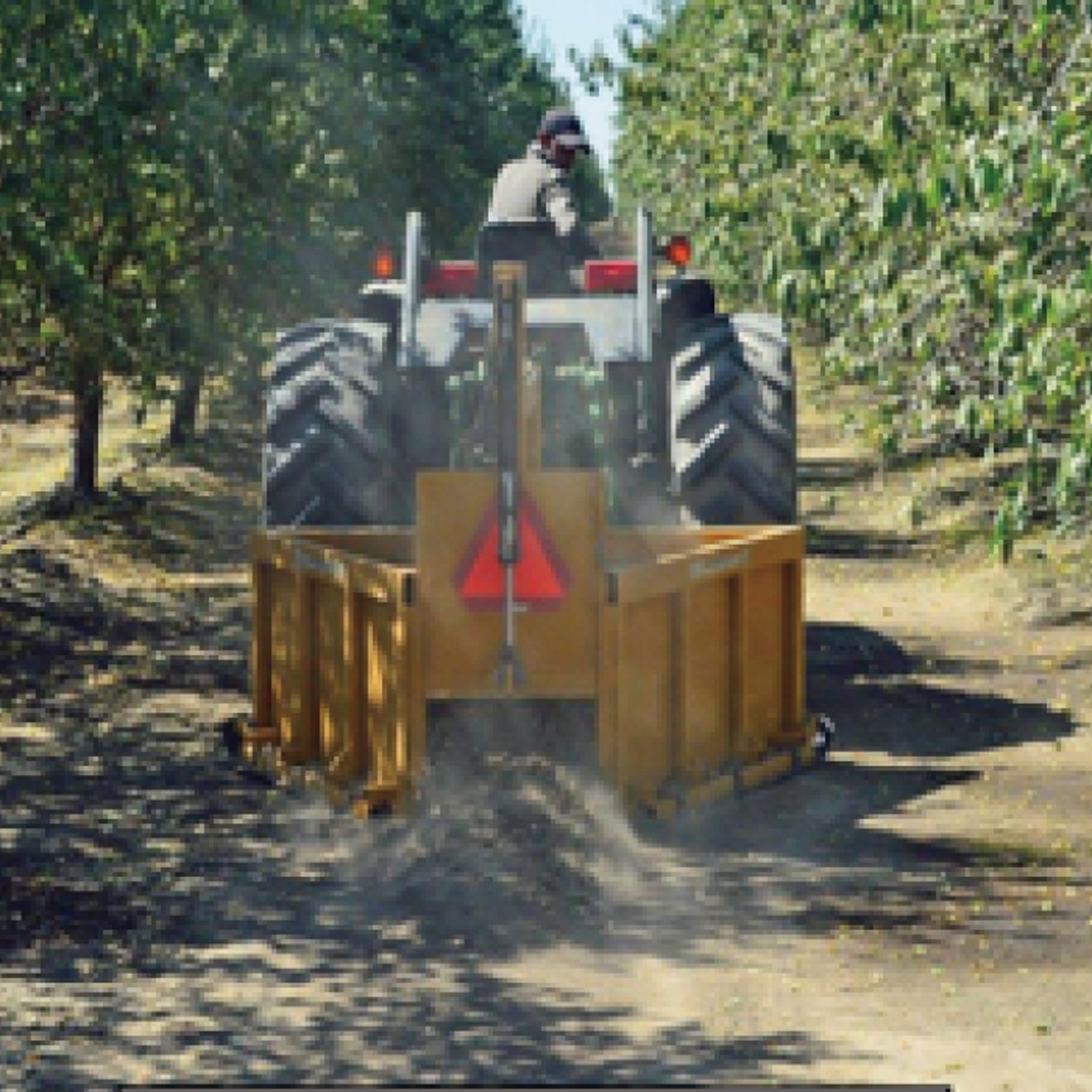 Nut Collector